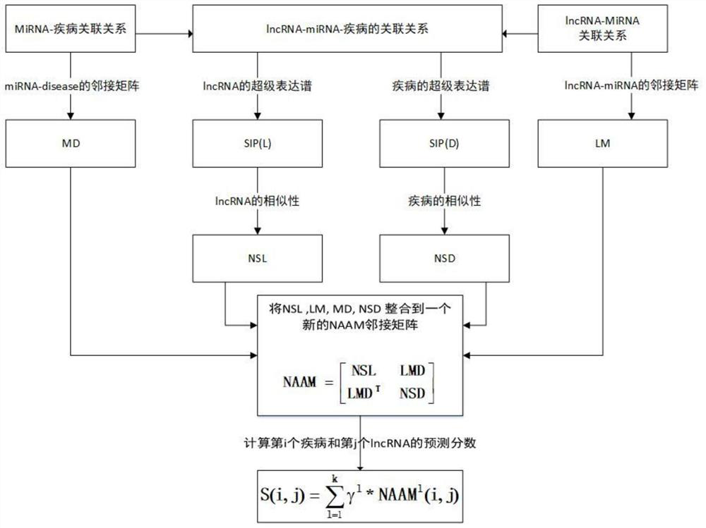 A method and system for predicting the relationship between disease and lncRNA