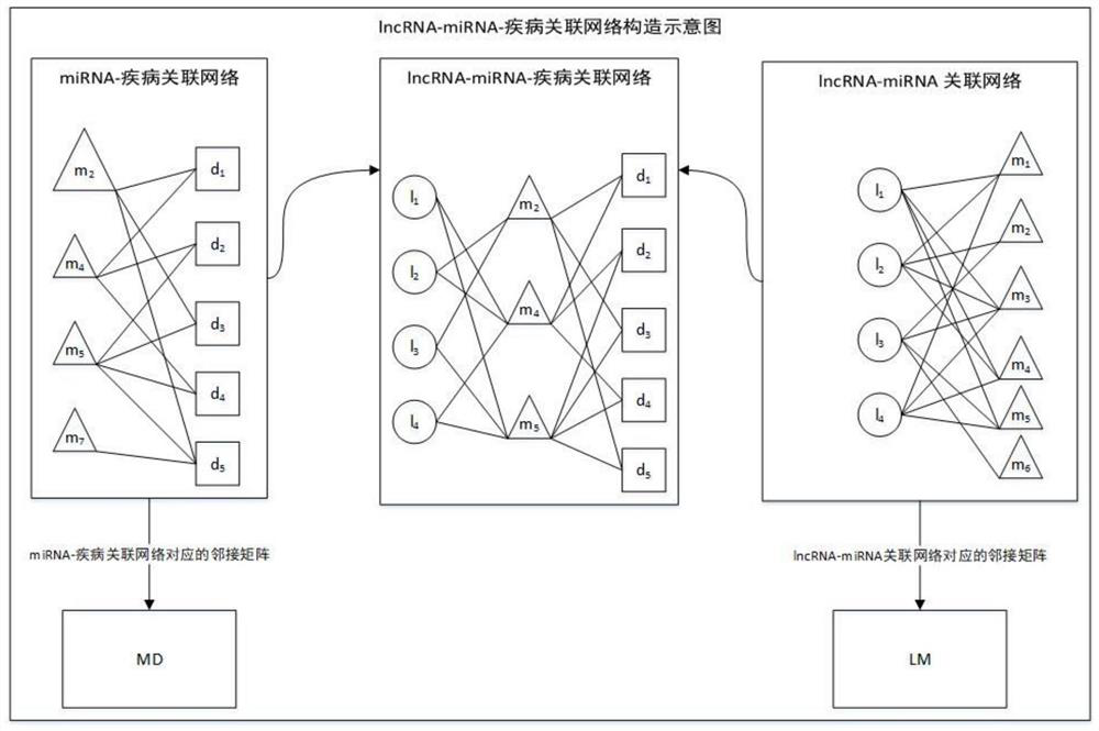 A method and system for predicting the relationship between disease and lncRNA