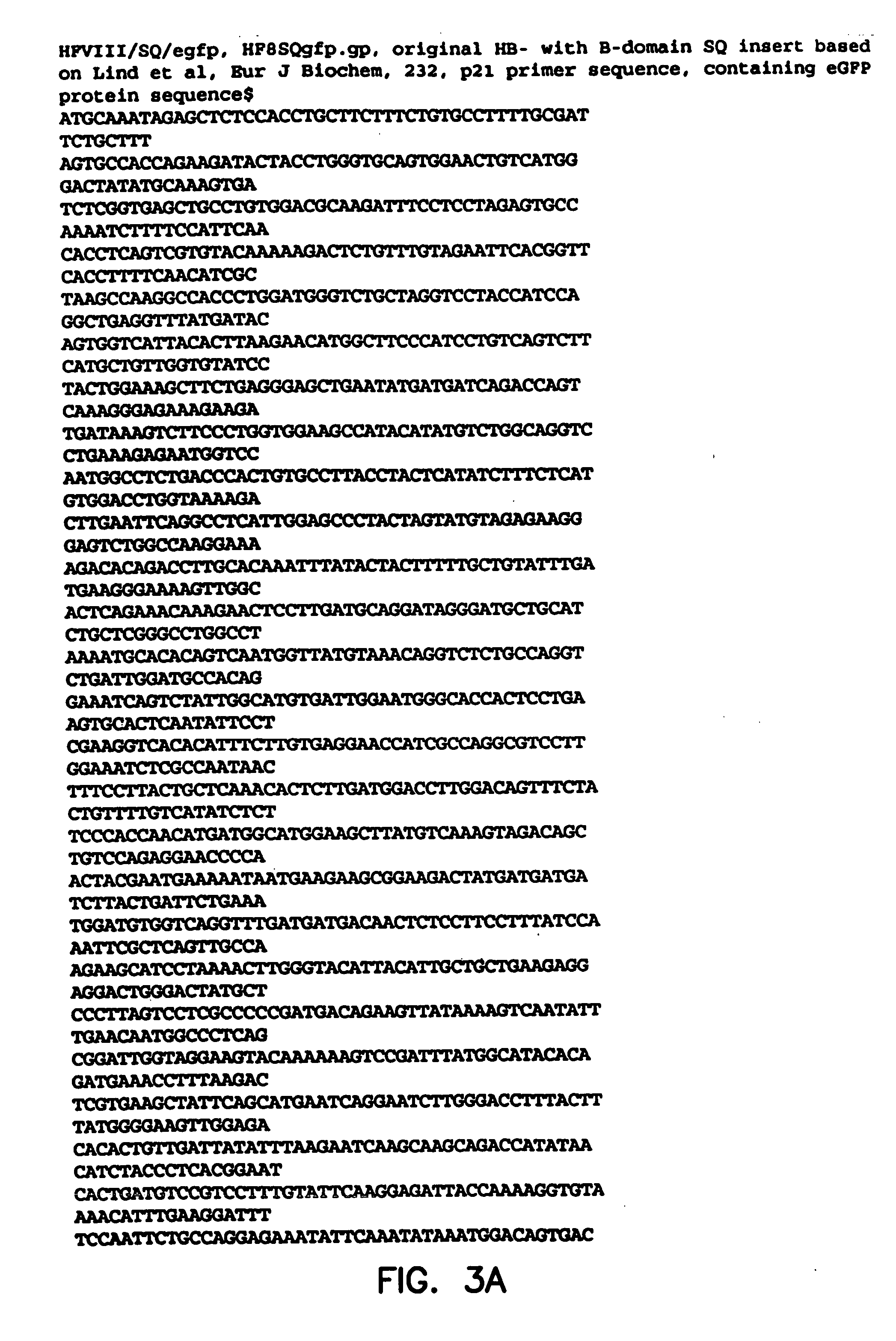 Transgenic circulating endothelial cells