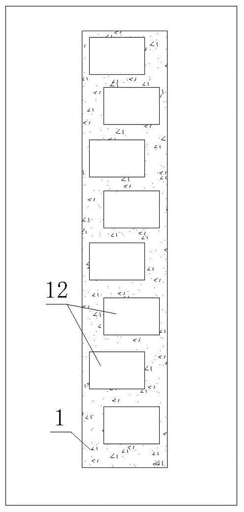 Fish passing system for high dam of canyon reach