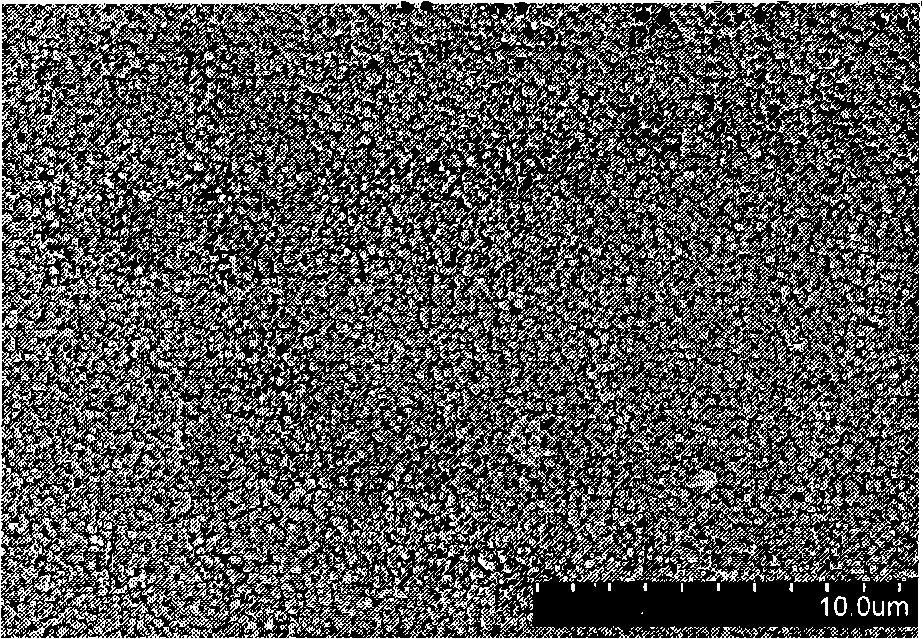 Electrochemical method for preparing hydroxylapatite granule thin coating on metallo-implantation surface