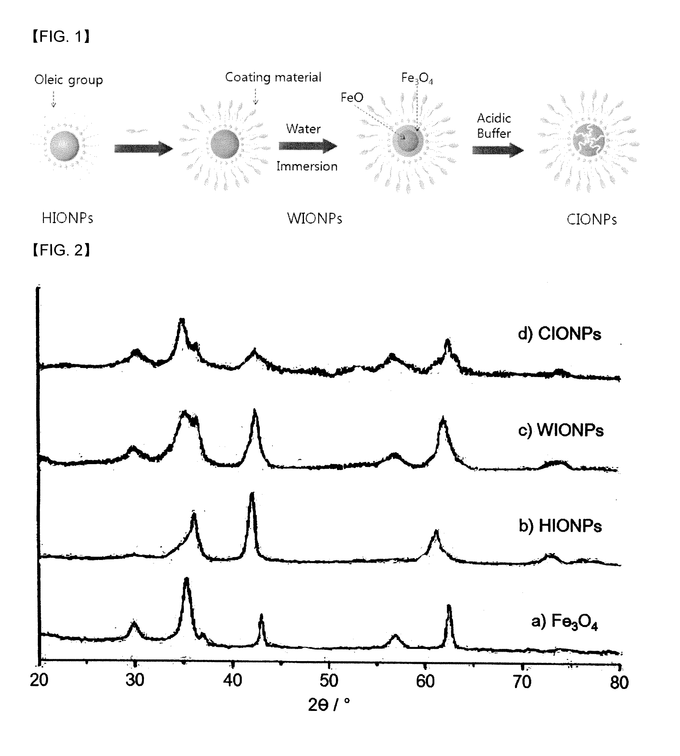 Iron oxide nanoparticles as MRI contrast agents and their preparing method