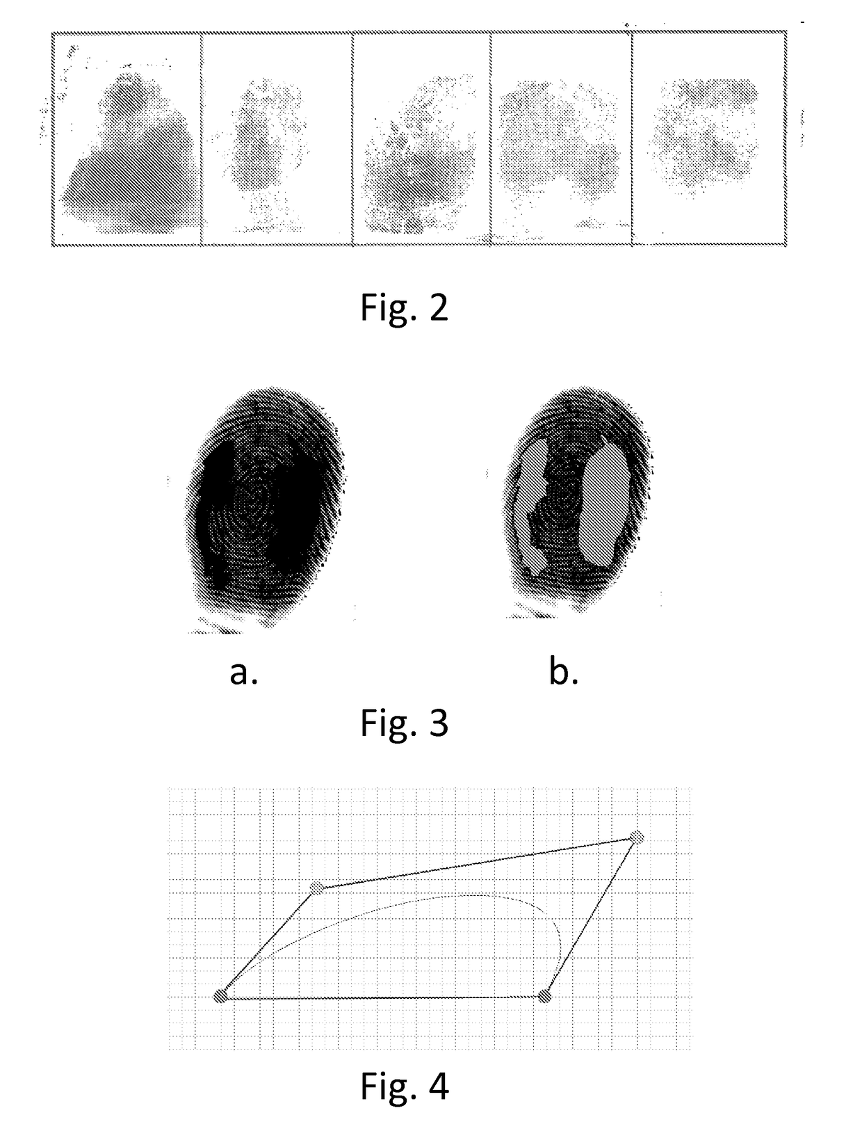 Systems and methods for biometric identification