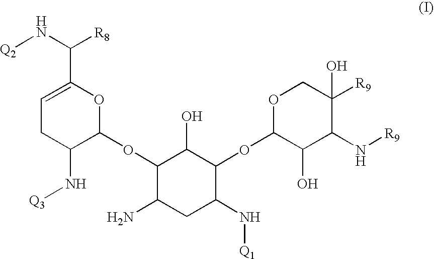 Antibacterial aminoglycoside analogs