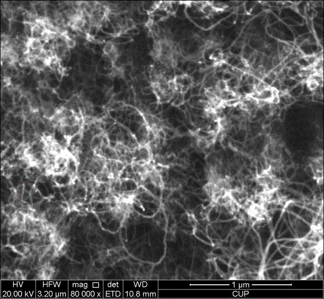 Preparation method of carbon nanotube and nickel oxide composite material