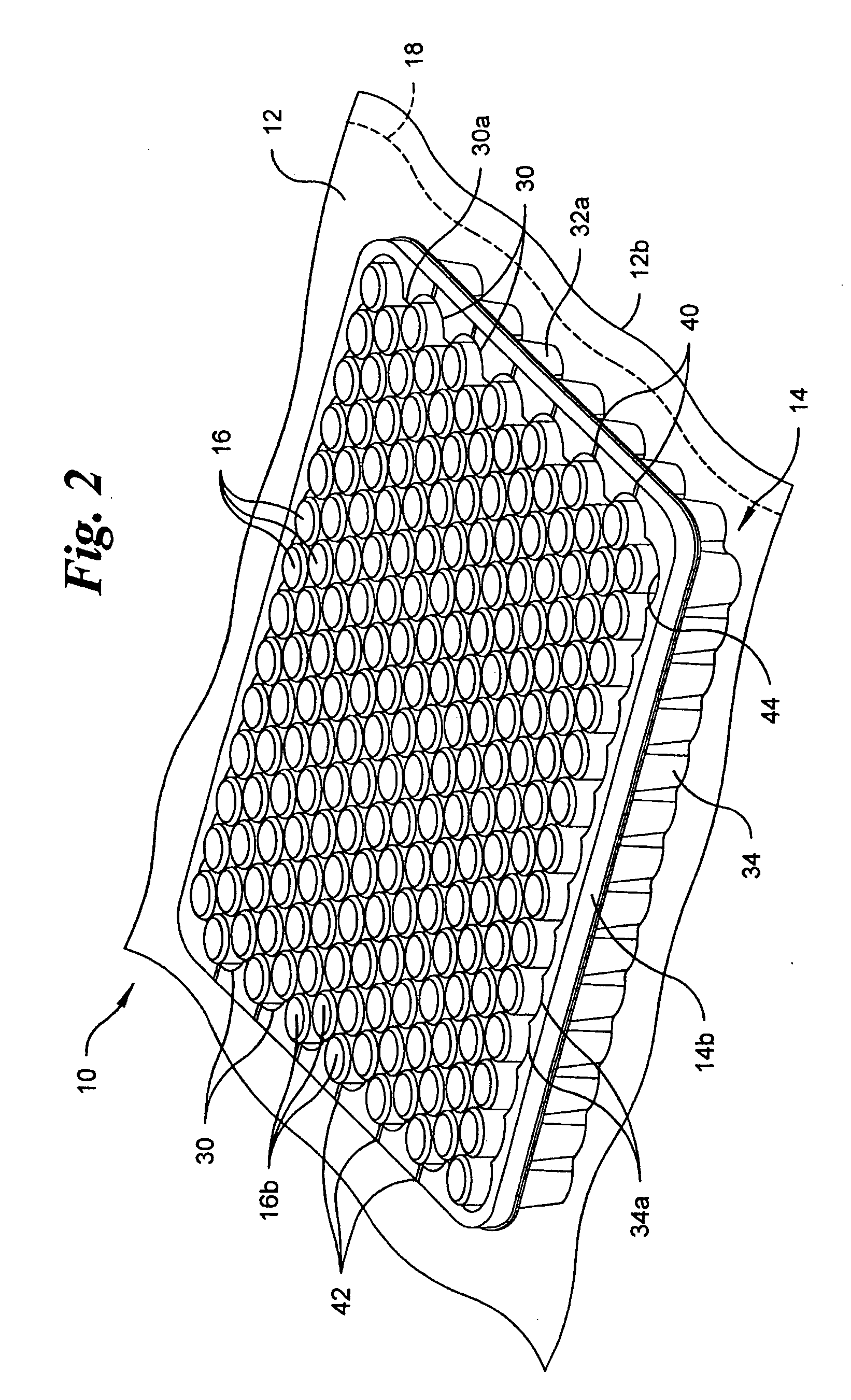 Vacuum package system and method