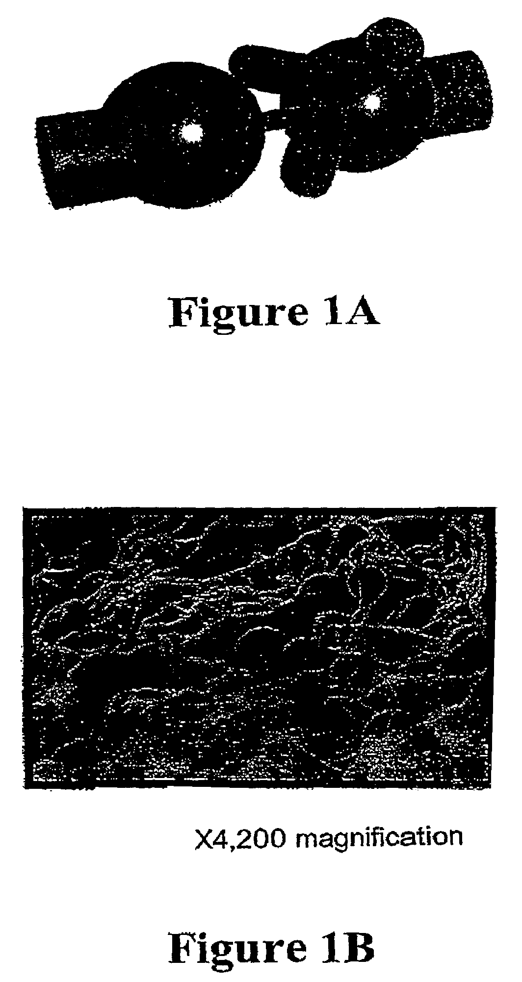 Carrier molecules