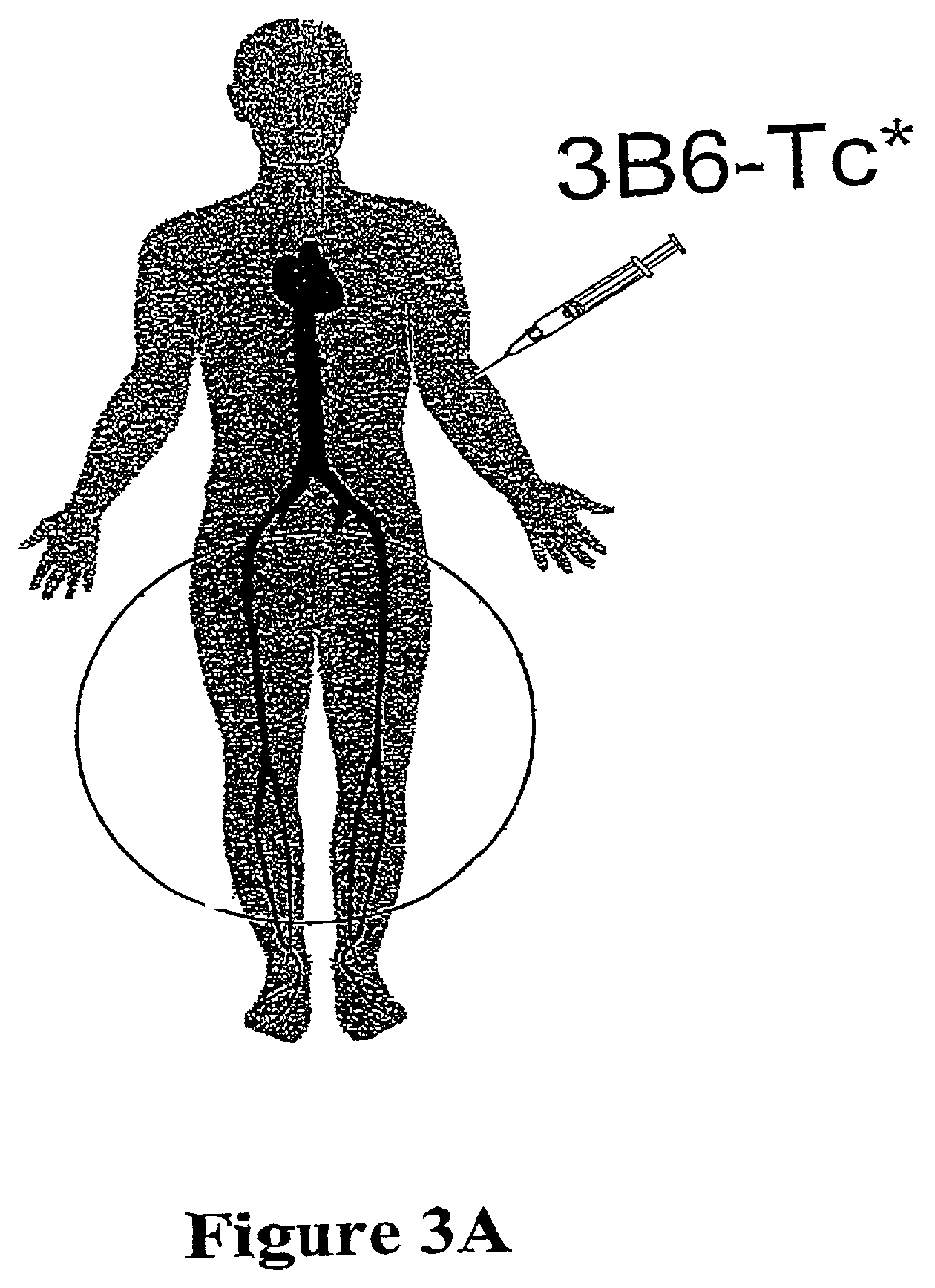 Carrier molecules