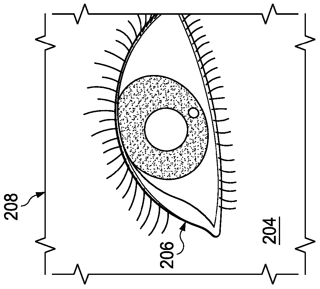 Systems and method for augmented reality ophthalmic surgical microscope projection