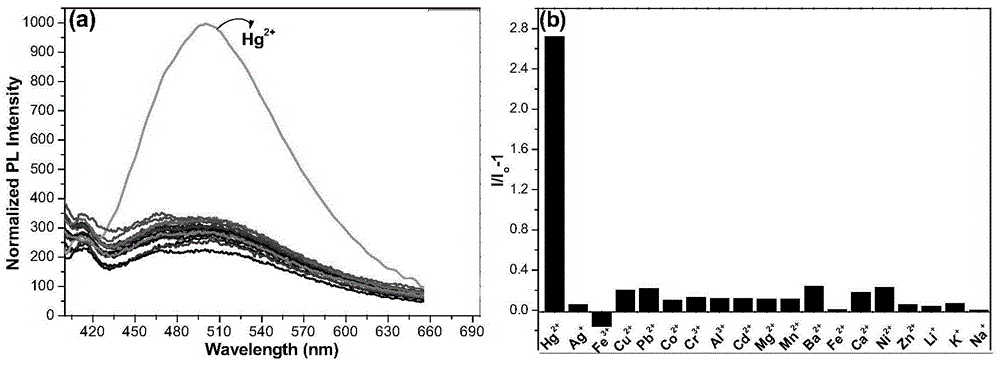 Mercury ion probe and its preparation method and use