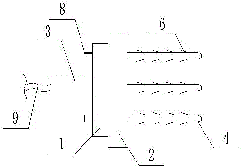 Beef curing equipment