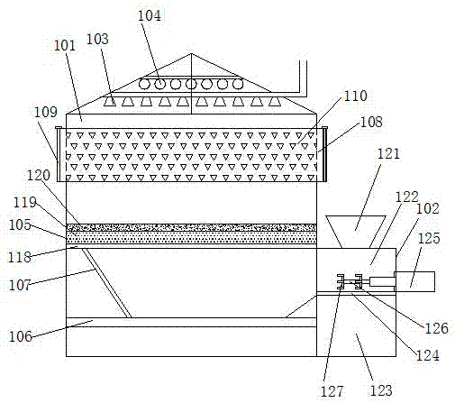 High-quality strong seedling raising method of cyclobalanopsis glauca