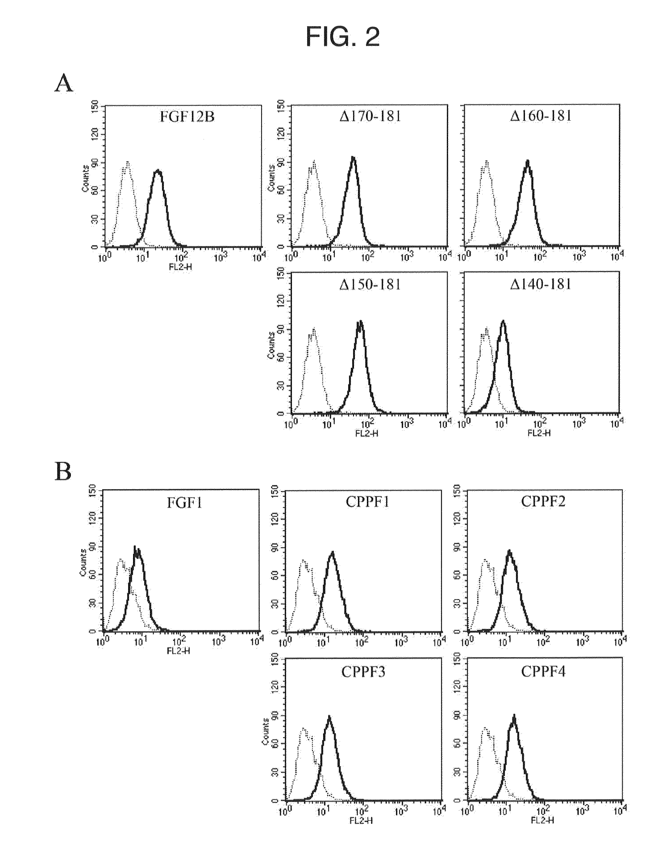 Medical treatment use of cell-membrane-permeable fibroblast growth factor