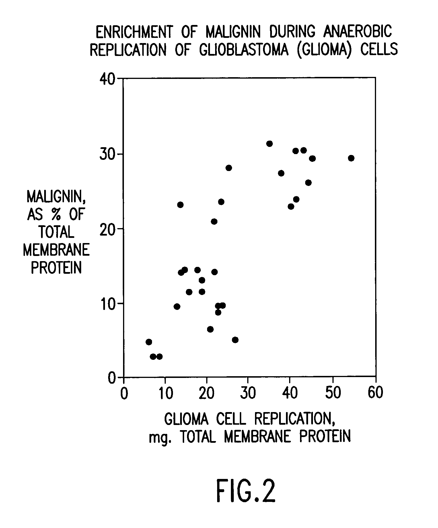 Replikin peptides in rapid replication of glioma cells and in influenza epidemics