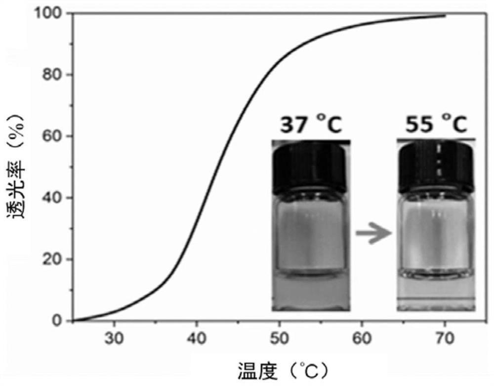 UCST type polymer with bacterium targeting function as well as preparation method and application of UCST type polymer