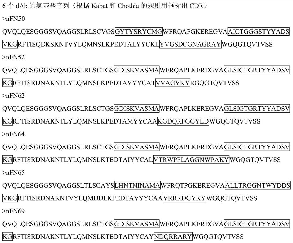 Single domain antibody against coagulation factor ix(fix)