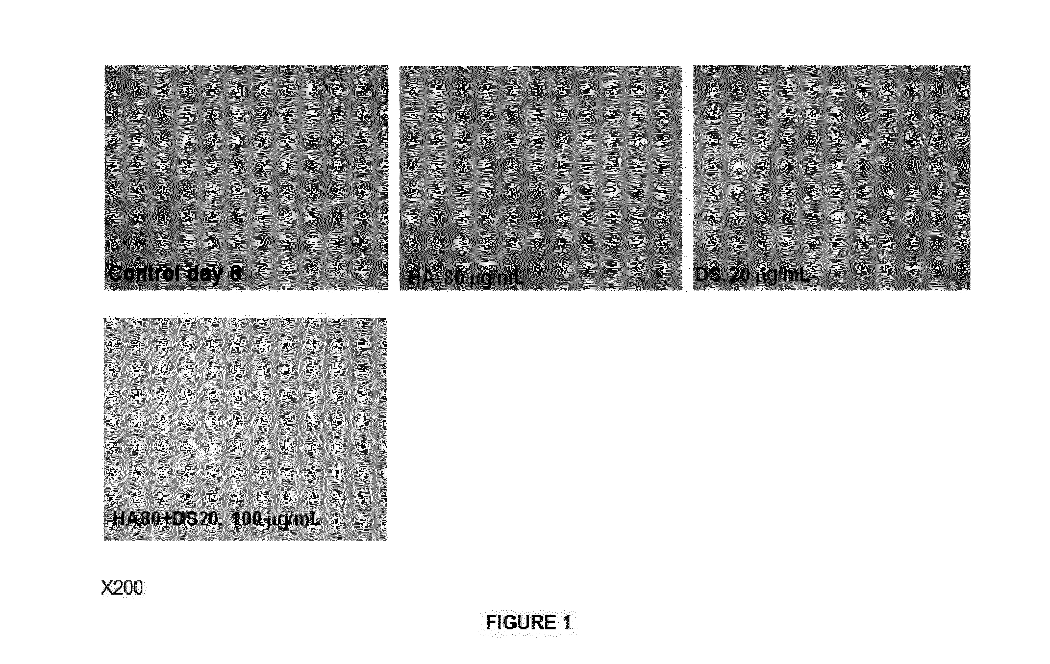 Compositions comprising hyaluronic acid and dermatan sulphate for the treatment of being overweight and obesity