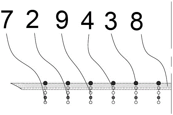 Pile and net separated large-scale shallow sea purse net culture device