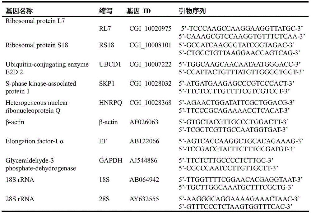 Internal Reference Genes, Primers and Applications of Fluorescence Quantitative Quantification of Oyster oyster poly(i:c) Stress Experiment