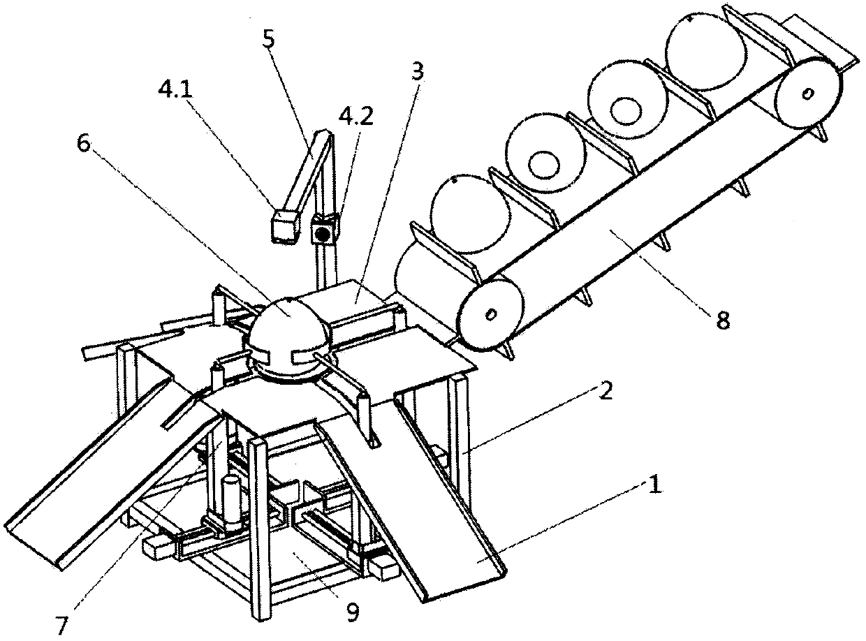 Grapefruit quality sorting method based on vision technology