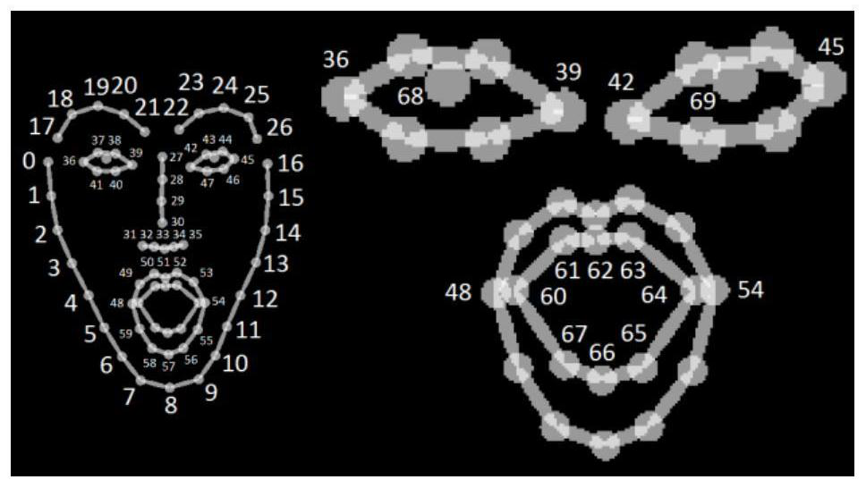 Method for establishing emotion perception model based on individual face analysis in video