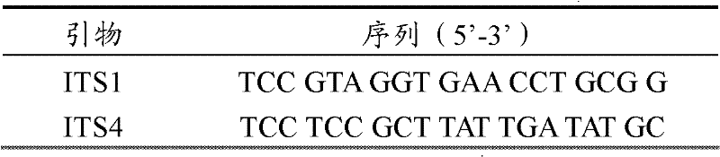 High throughput method for rapidly extracting genomic DNA of fungus