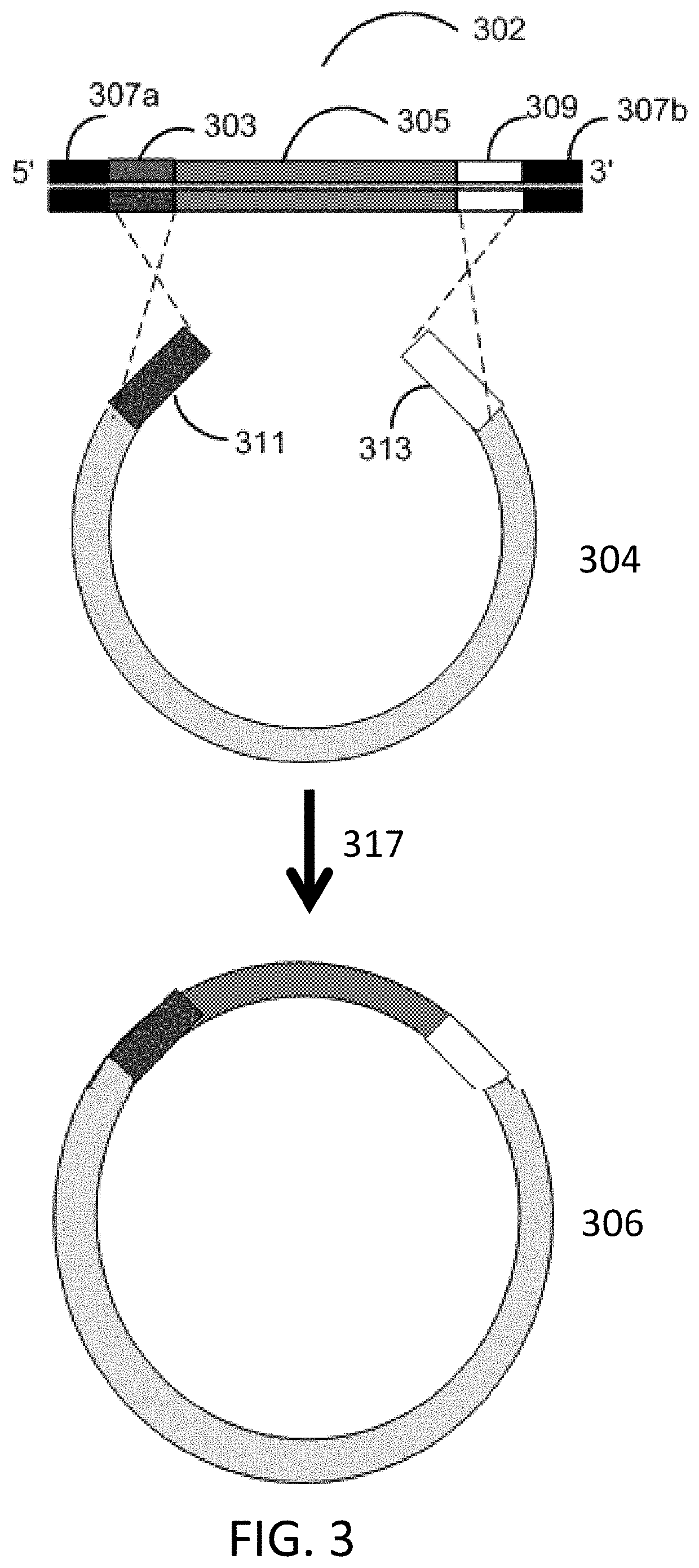 Methods for seamless nucleic acid assembly