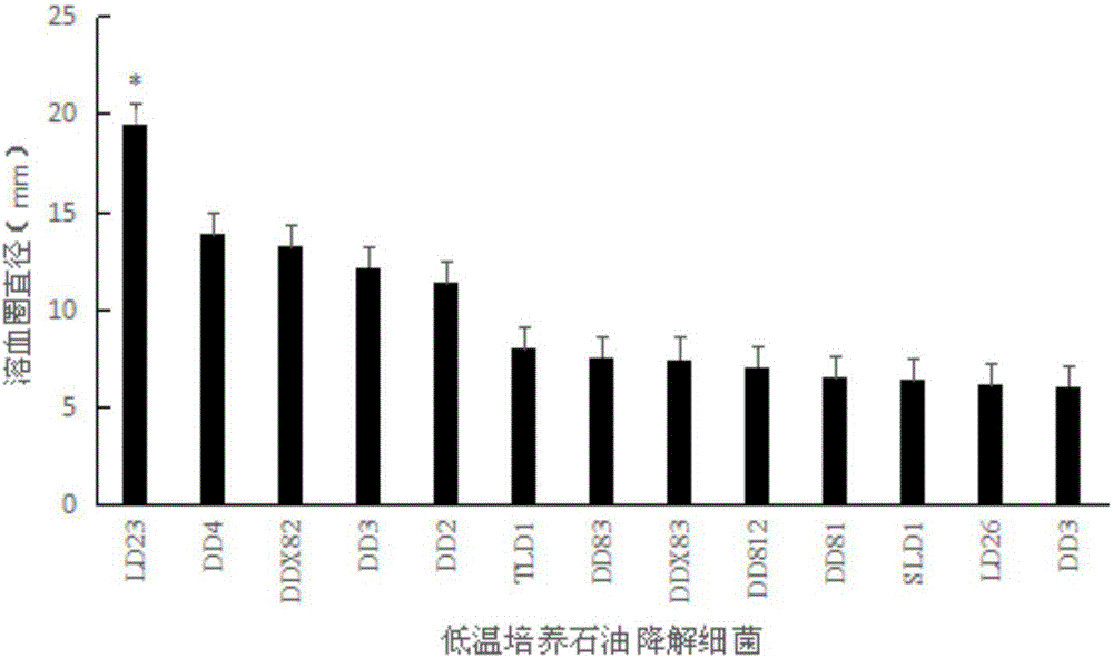 Pseudomonas sp. LD23 and preparation of immobilized microspheres of Pseudomonas sp. LD23