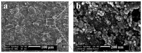 Super-wear-resistant and super-amphiphobic coating as well as preparation method and application thereof