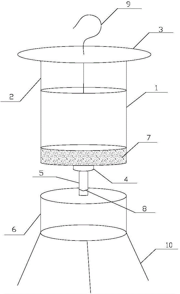 Method for luring and collecting Chinese chive maggot imagoes for laying eggs