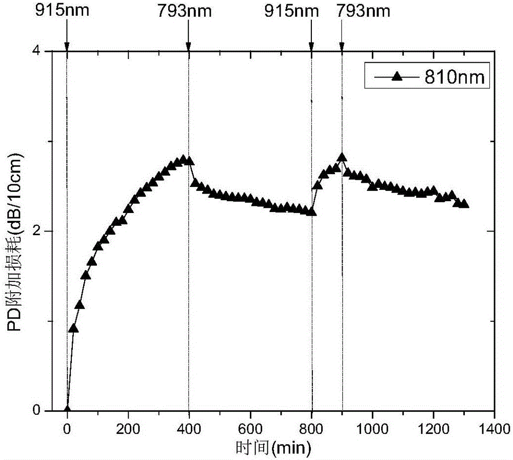 Darkening bleaching device and method based on fiber laser darkening maintenance