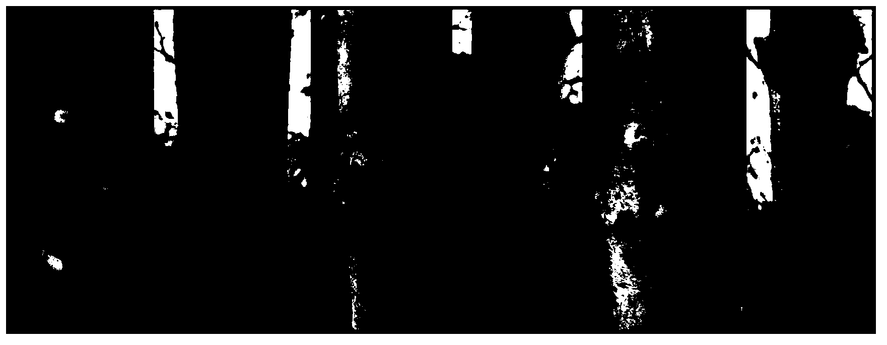 Method for prevention, treatment and control of gummosis of peaches in field