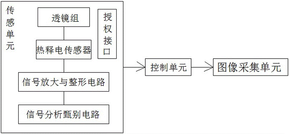 Mouse trace detector probe