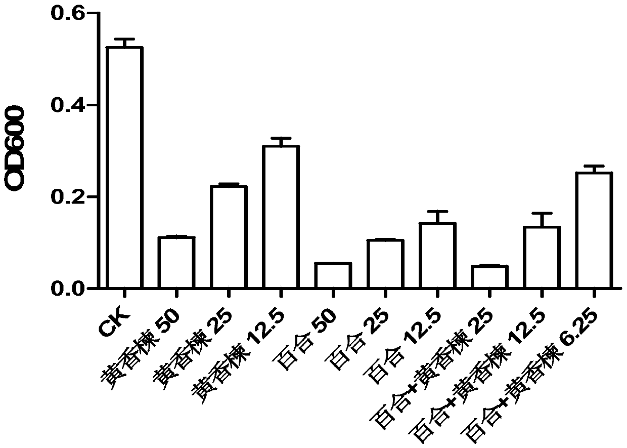 Neem-lily extract for preventing and treating Propionibacterium acnes and its application