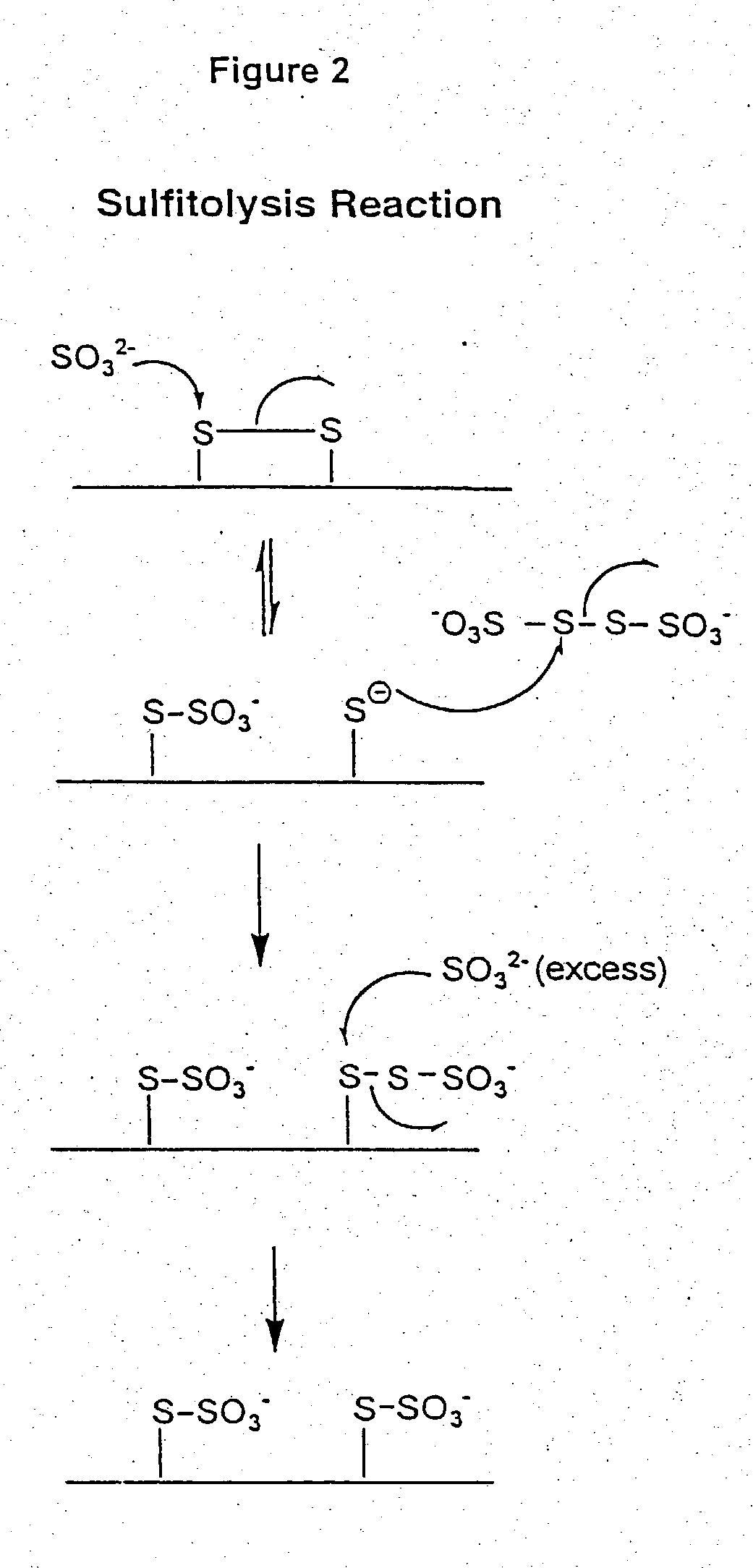 Use of sulfitolysis in high performance peptide mapping