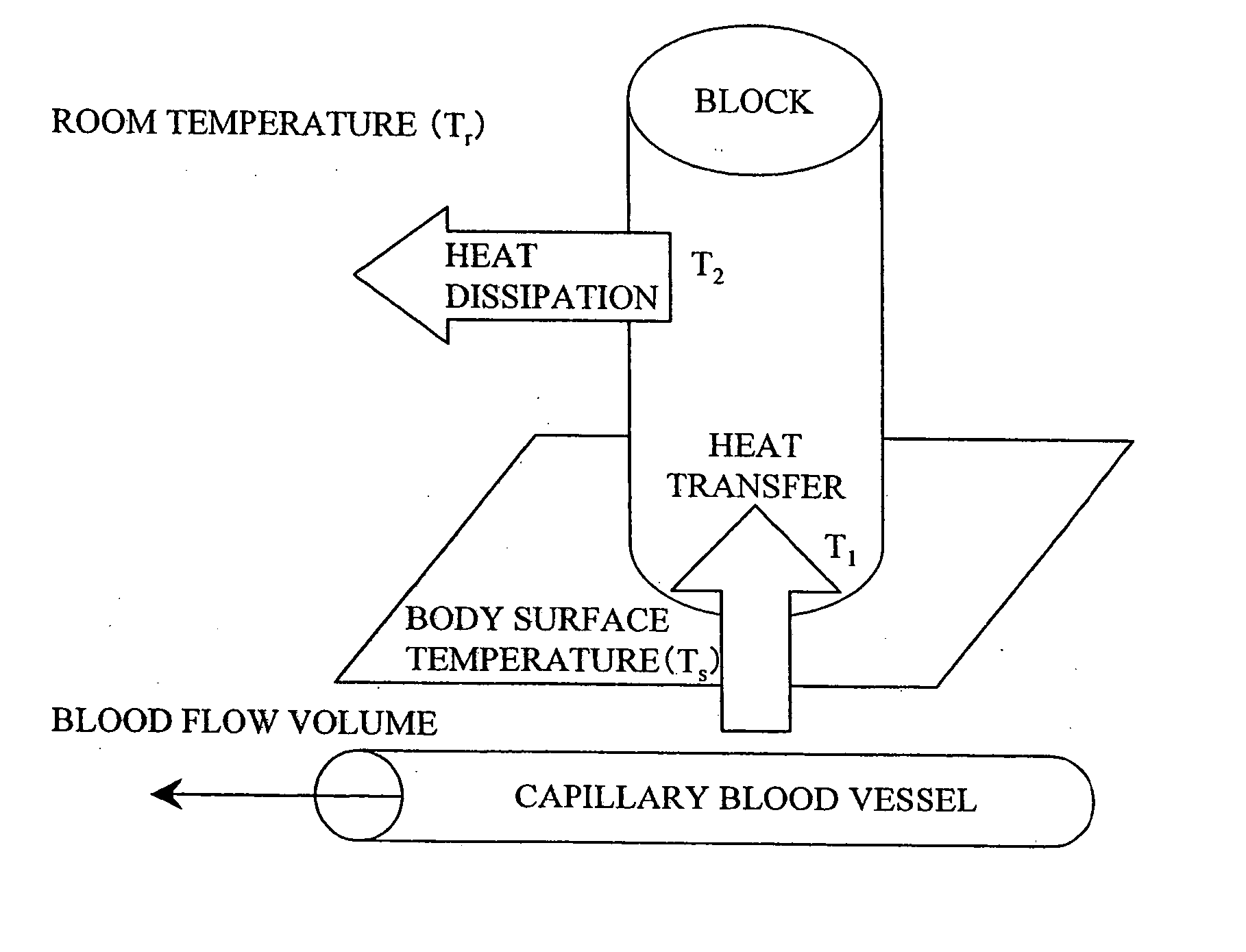 Blood sugar level measuring apparatus