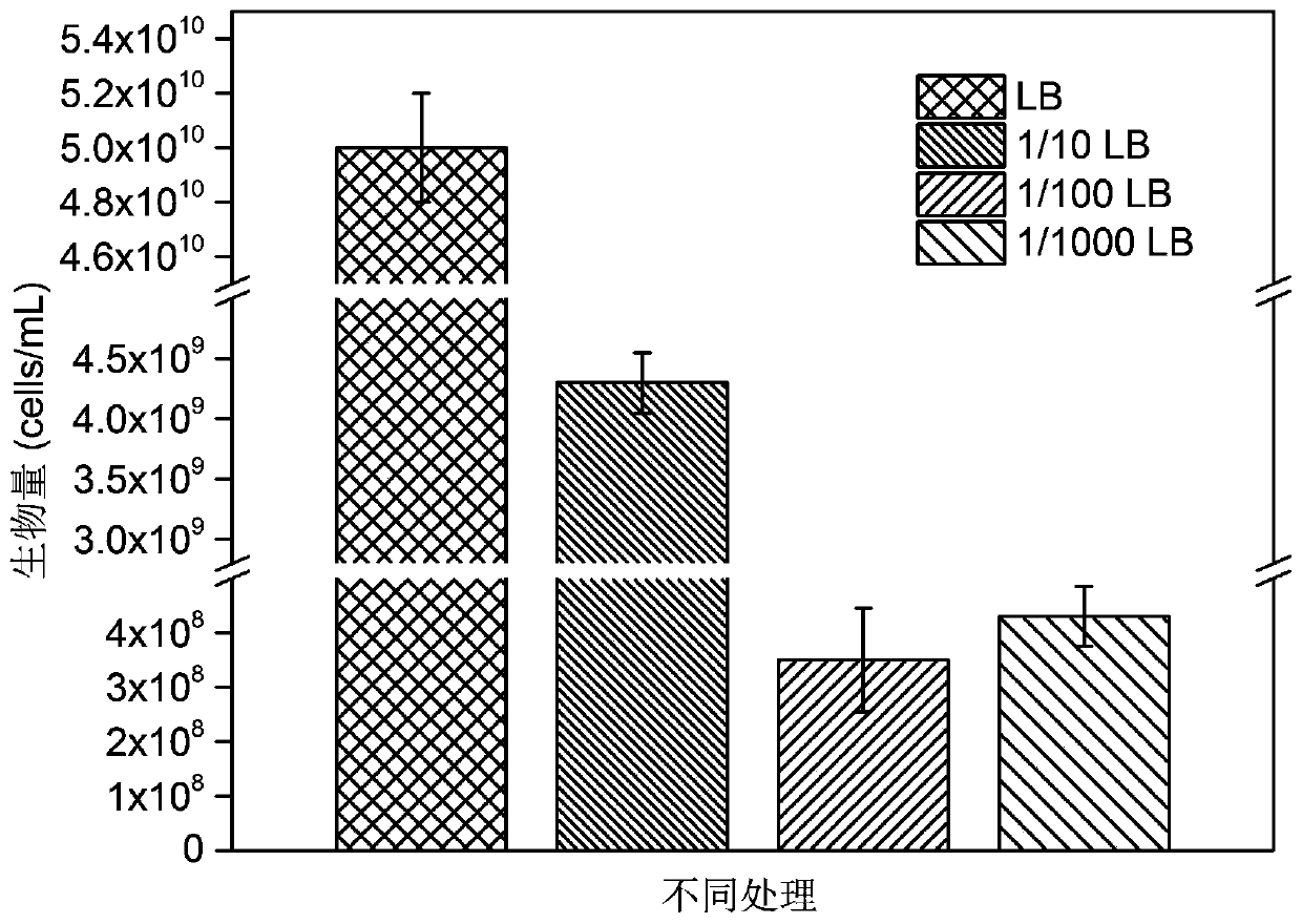 Screening and application of a polybrominated diphenyl ether (pbdes) degrading bacterium