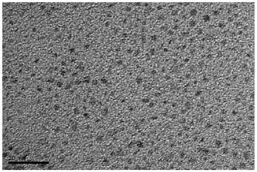 Fluorine-containing graphene quantum dot, preparation and application thereof as photodynamic therapy photosensitizer