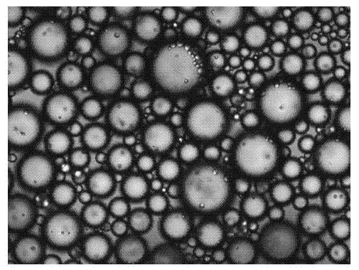 Self-repairing microcapsule used for metal anticorrosion coating and preparation method thereof