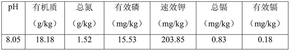 Safe cultivation method for alkalescent cadmium-contaminated soil