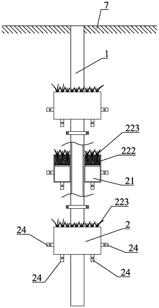 An ecological type easy maintenance water-saving three-dimensional gardening and greening system