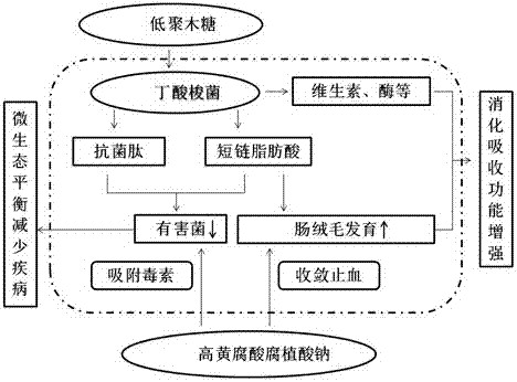 Additive for synergetically promoting multiplication and colonization of intestinal probiotics and use method of additive