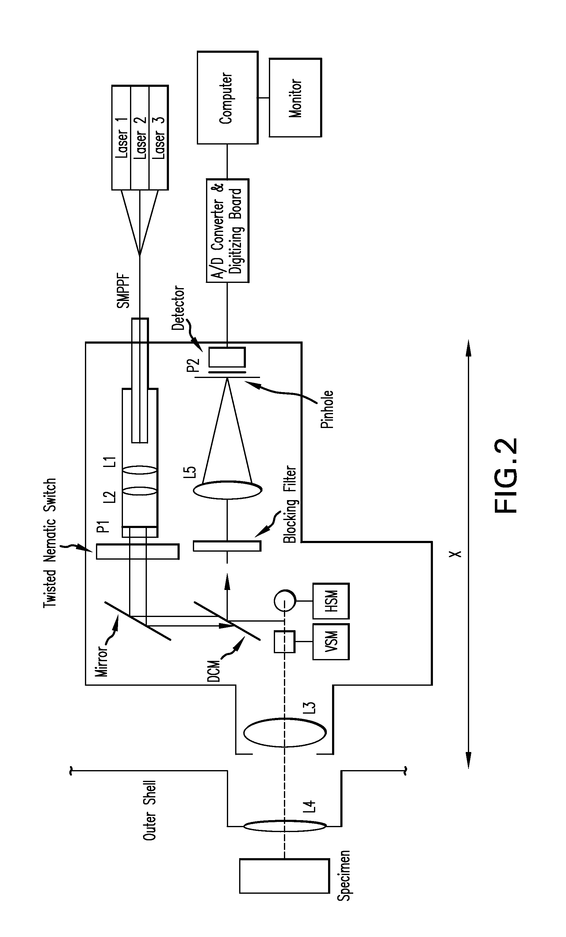 Method and apparatus for the non-invasive measurement of tissue function and metabolism by determination of steady-state fluorescence anisotropy