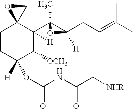 TNP-470 species, polymer conjugates and use thereof