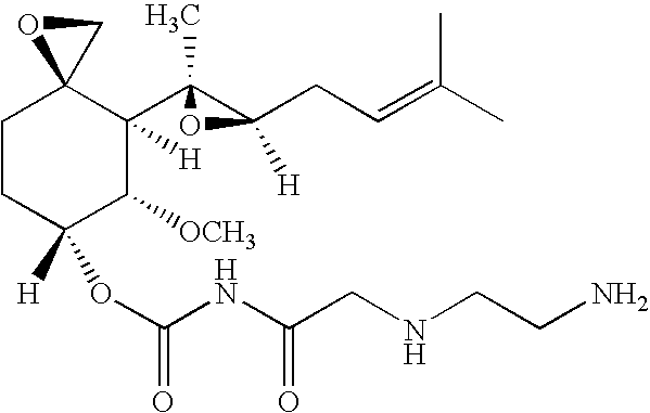 TNP-470 species, polymer conjugates and use thereof