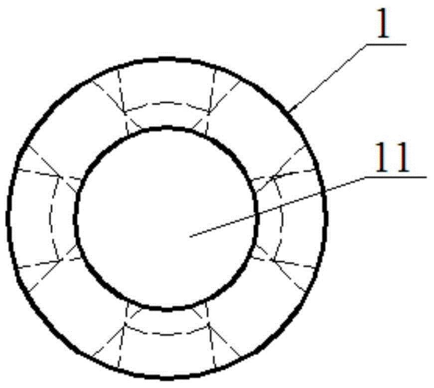 Rat caudal vertebra intercalated disc minimally invasive puncture injection device