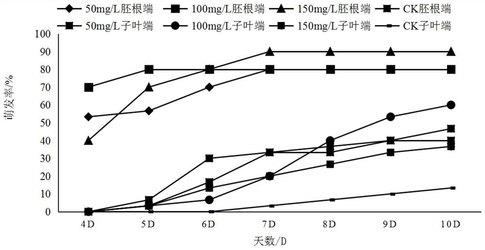 A method for breaking dormancy of giant bauhinia seeds