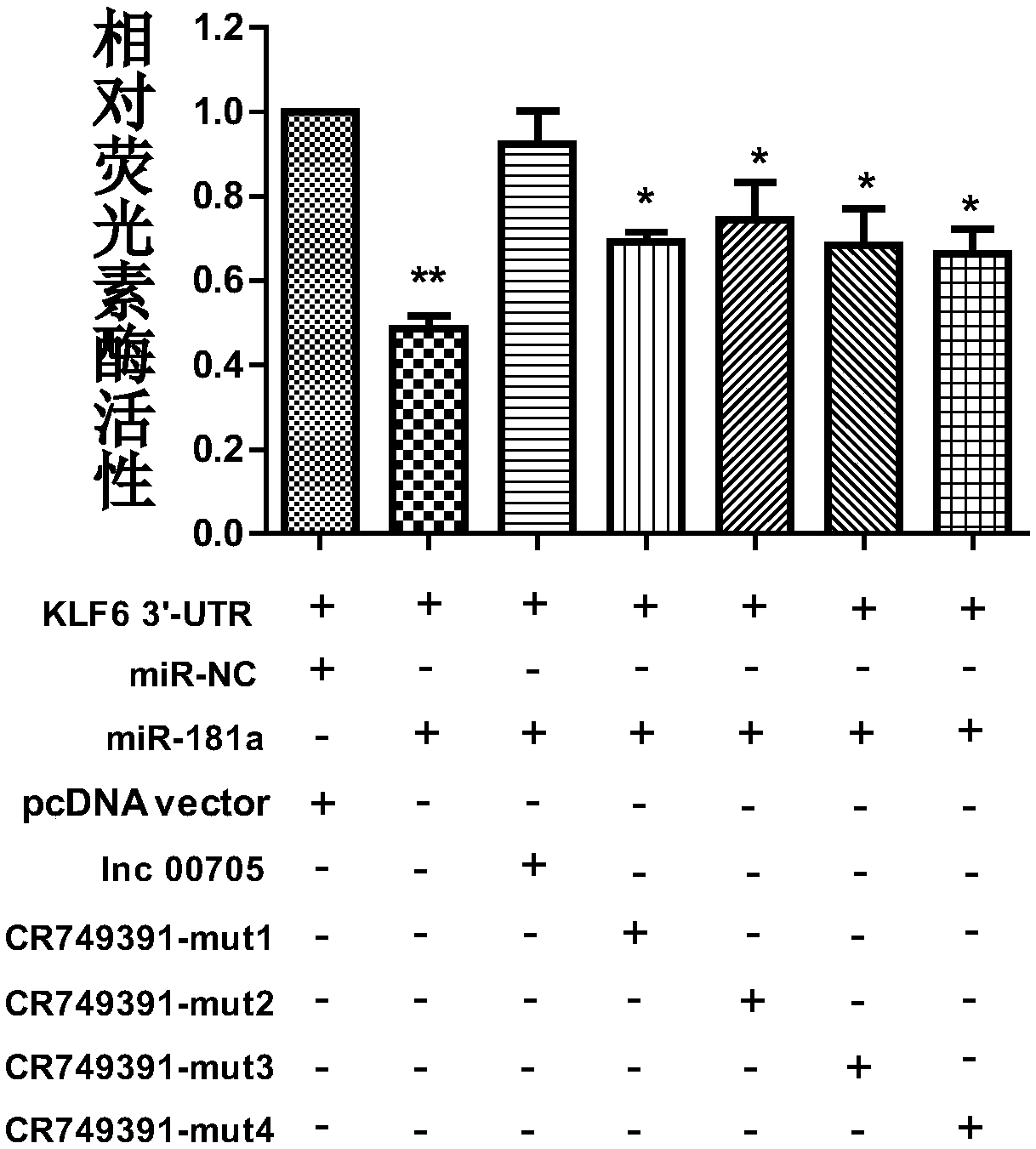 Long non-coding RNA and application thereof