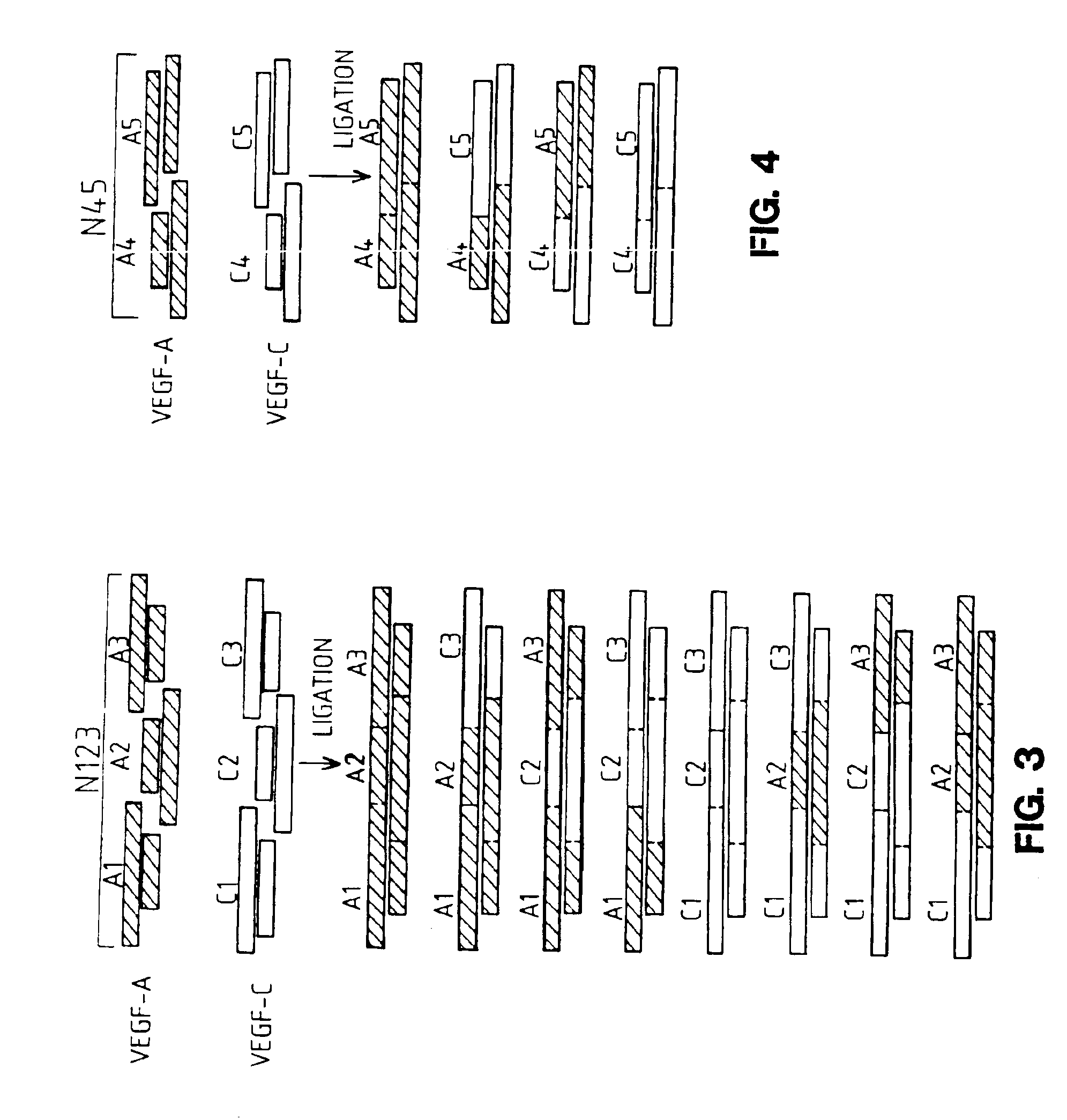 Materials and methods involving hybrid vascular endothelial growth factor DNAs and proteins