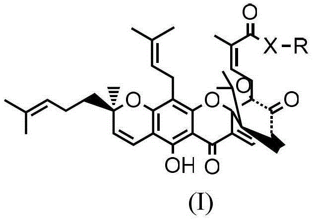 A kind of gambogic acid ester derivative and its preparation method and application